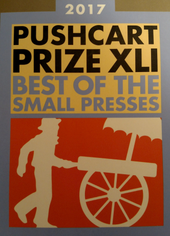 Cover of Pushcart Prize XLI 2017